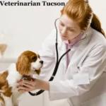 Why Dr. Millar Veterinarian Tucson is the Go-To Choice for Pet Care