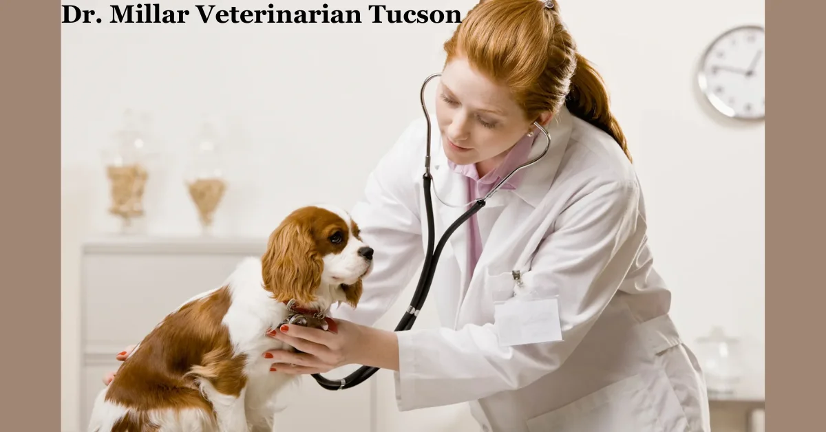 Why Dr. Millar Veterinarian Tucson is the Go-To Choice for Pet Care