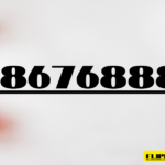 7867688869 Explained: How Numbers Influence Culture and Spirituality