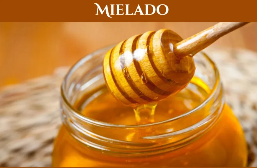 Mielado Explained: How to Use This Sweet Secret in Cooking